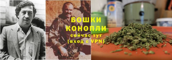 сатива Одинцово
