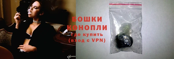 спайс Пересвет