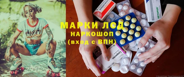 спайс Пересвет