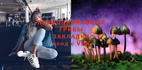 спайс Пересвет