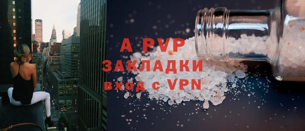 спайс Пересвет