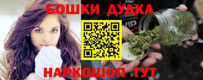 jwh Бийск