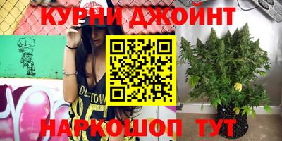 jwh Бийск
