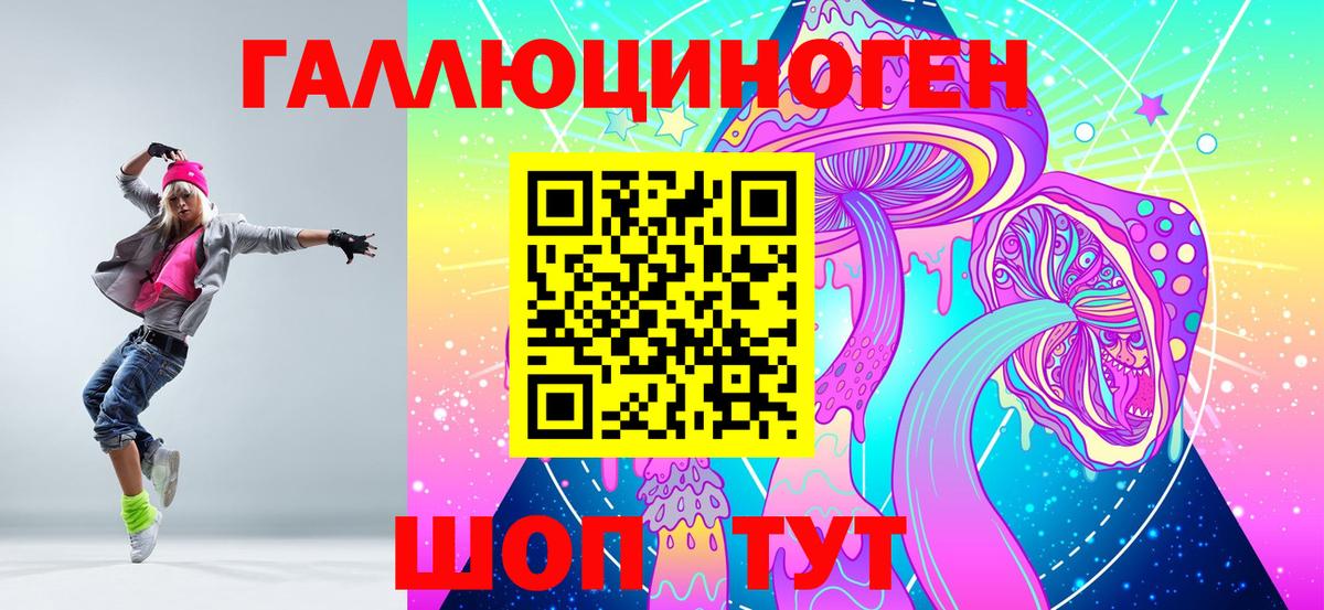 наркота  Владикавказ  Псилоцибиновые грибы прущие грибы 