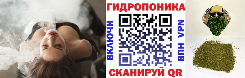 Шишки марихуана SATIVA & INDICA  купить  цена  Владикавказ 